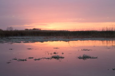 Güzel doğa arkaplanı