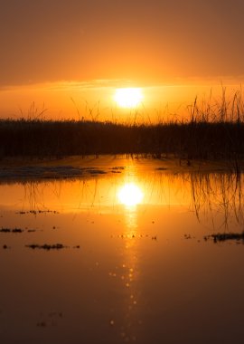 Güzel doğa arkaplanı