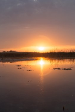 Güzel doğa arkaplanı