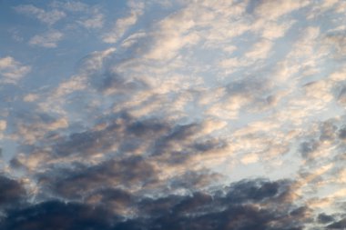 Güzel doğa arkaplanı