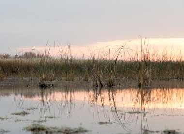 Güzel doğa arkaplanı