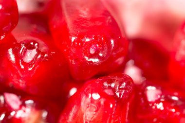 taze lezzetli yemekler