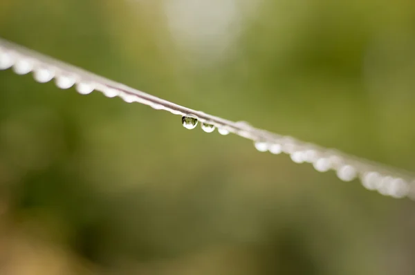 Schöne Natur Hintergrund — Stockfoto