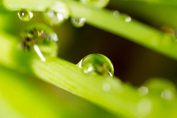 Krásné přírodní pozadí — Stock fotografie