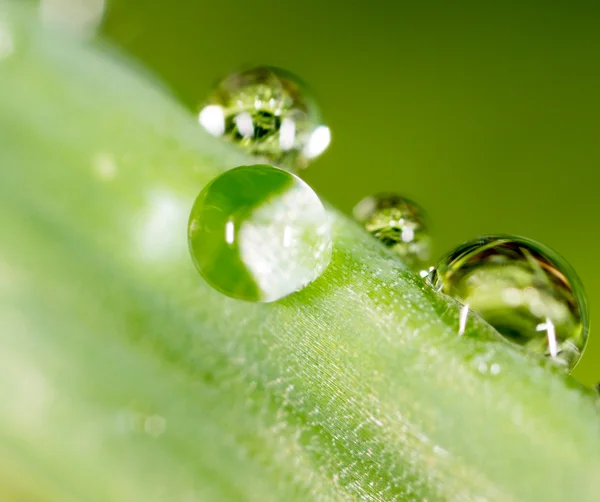 Prachtige natuur achtergrond — Stockfoto