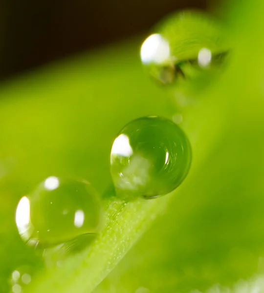 Bellissimo sfondo naturale — Foto Stock