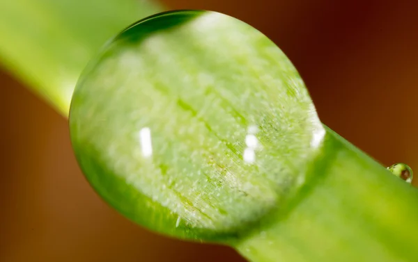 Prachtige natuur achtergrond — Stockfoto