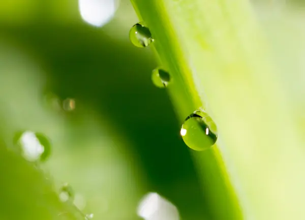 Krásné přírodní pozadí — Stock fotografie