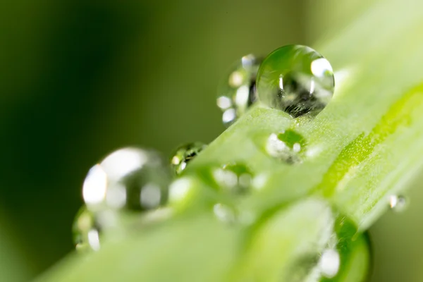 Vacker natur bakgrund — Stockfoto