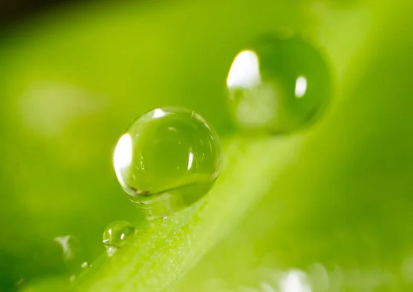 Vacker natur bakgrund — Stockfoto