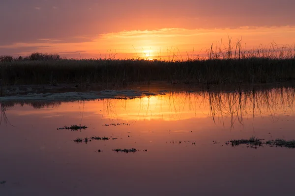 Schöne Natur Hintergrund — Stockfoto