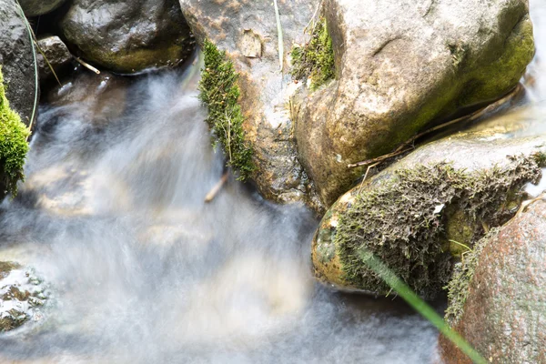 Berg rivier in de natuur — Stockfoto