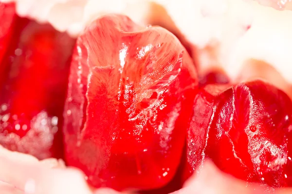 Vers, lekker eten — Stockfoto