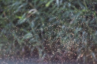 açık havada uyarmadığın bir sürü