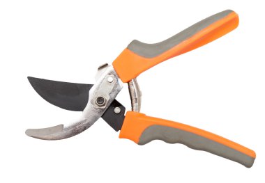 secateurs beyaz bir arka plan üzerinde