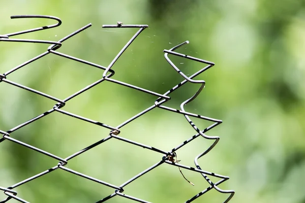 Paslı metal ızgara çit makro ve doğa arka planı — Stok fotoğraf
