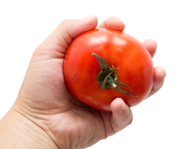 Frisches, schmackhaftes Gemüse auf weißem Hintergrund — Stockfoto