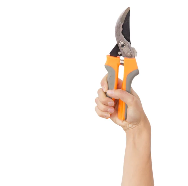 Secateurs in hand on a white background — Stock Photo, Image