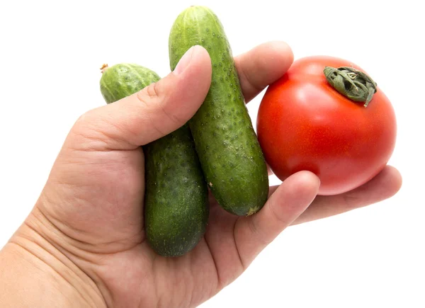 Verdure fresche gustose su sfondo bianco — Foto Stock