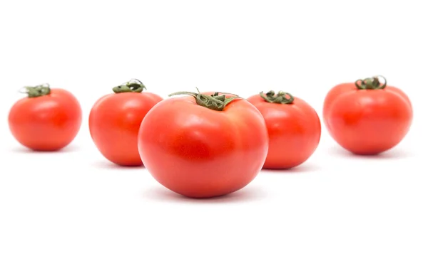 Verduras frescas y sabrosas sobre fondo blanco — Foto de Stock