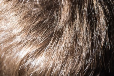 insanlarda bir Güzellik Salonu