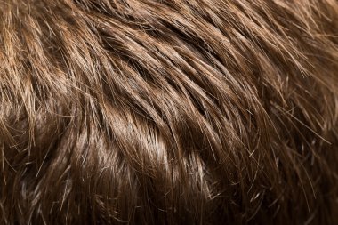 insanlarda bir Güzellik Salonu