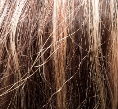 insanlarda bir Güzellik Salonu