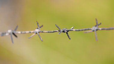 dikenli tel niteliğine