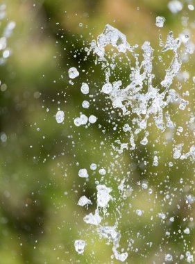 doğası üzerine sıçramasına su damlası