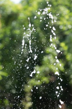 doğası üzerine sıçramasına su damlası