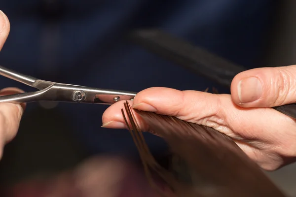 Haren knippen in een schoonheidssalon — Stockfoto