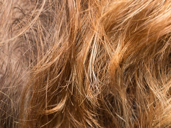 Personnes dans un salon de beauté — Photo