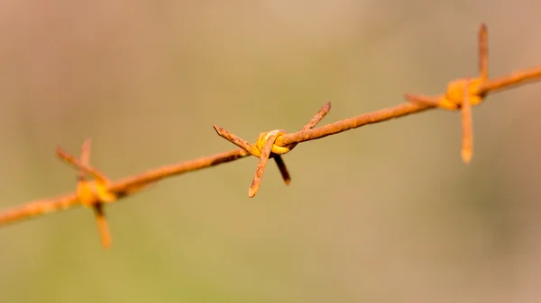 Stacheldraht gegen die Natur — Stockfoto