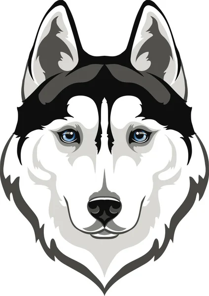 Bozal Perro Husky Siberiano Con Ojos Azules — Vector de stock