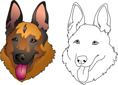 Alman çoban köpeği çizgileri portresi Güzel köpek burnu Dilli Alman çoban köpeği yetiştirir