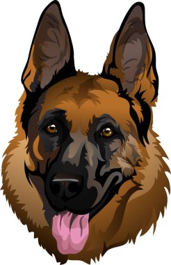 Alman çoban köpeği çizgileri portresi Güzel köpek burnu Dilli Alman çoban köpeği yetiştirir