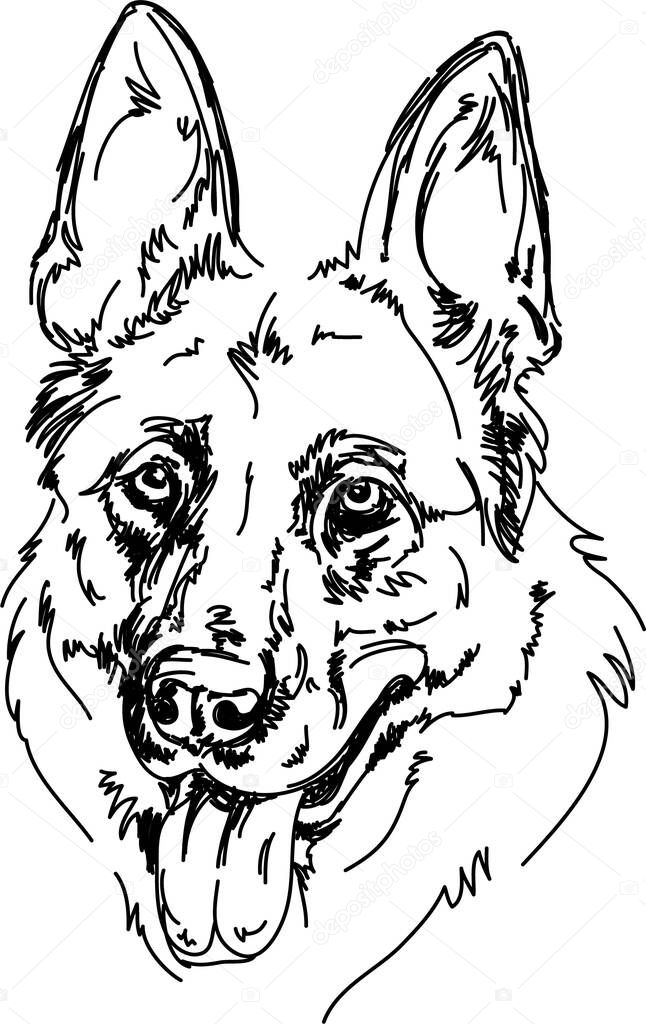 Portrait of a vector German Shepherd linesBeautiful dog snout breed German Shepherd with tongue
