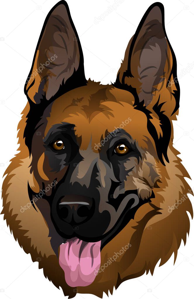 Portrait of a vector German Shepherd linesBeautiful dog snout breed German Shepherd with tongue