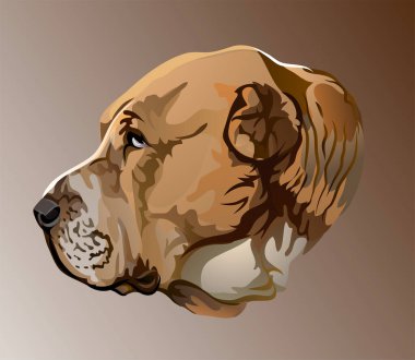 Orta Asya çoban köpeğinin güzel gerçekçi vektör portresi. Logo ya da ödüller için şaşırtıcı figür. Alabai cinsi bekçi köpeği.