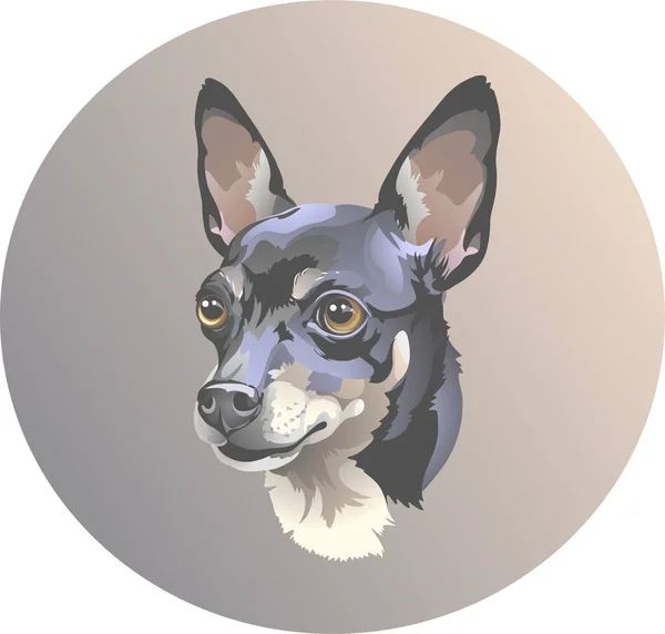 Vector Portrait Small Dog Breed Russian Toy Terrier Head Beautiful — Vector de stock