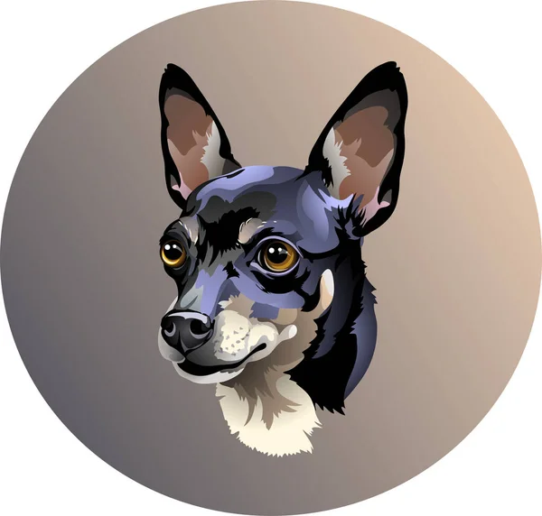Vector Portrait Small Dog Breed Russian Toy Terrier Head Beautiful — 图库矢量图片
