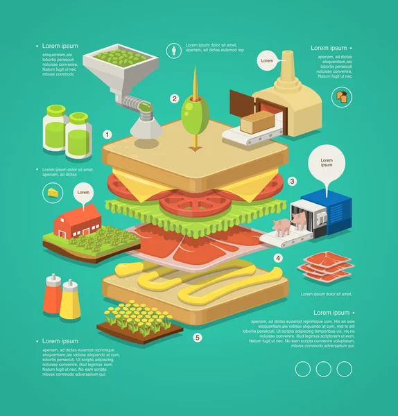 Infografía con sándwich en capas — Vector de stock