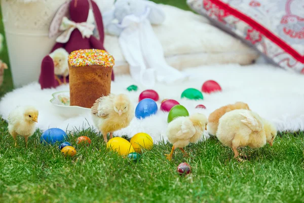 Baby chicken and ester eggs in the grass — Stock Photo, Image