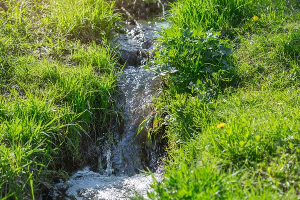 Fiume sul prato verde — Foto Stock