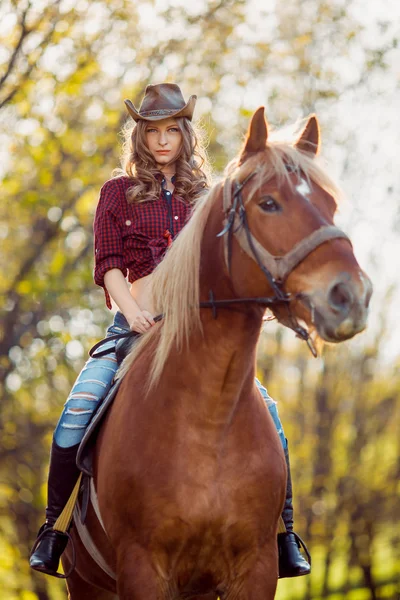 Schönes Mädchen reitet Pferd auf Herbstfeld — Stockfoto