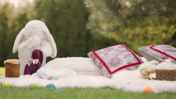 Baby kip en ester eieren in het gras — Stockvideo