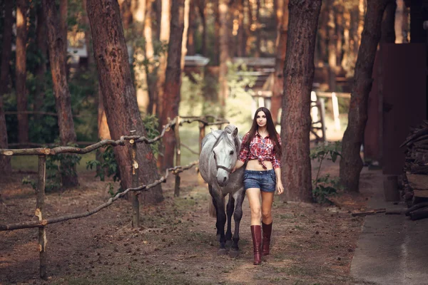 Mulher e Cavalo. Casual estilo sexy — Fotografia de Stock