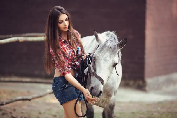 Donna e cavallo. Stile sexy casual — Foto Stock