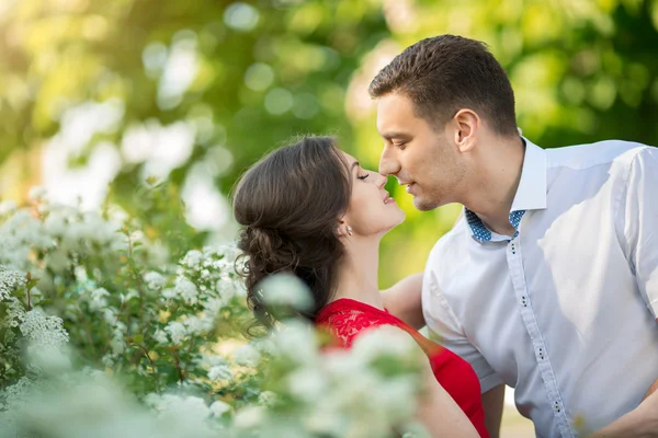 公園でキス幸せな若いカップル — ストック写真