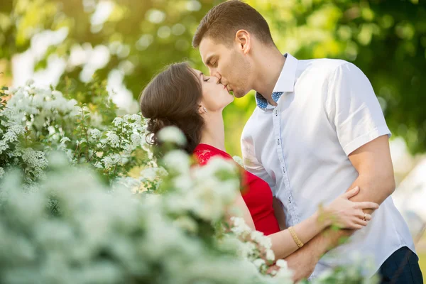Happy young couple kissing in park — Stock Photo, Image
